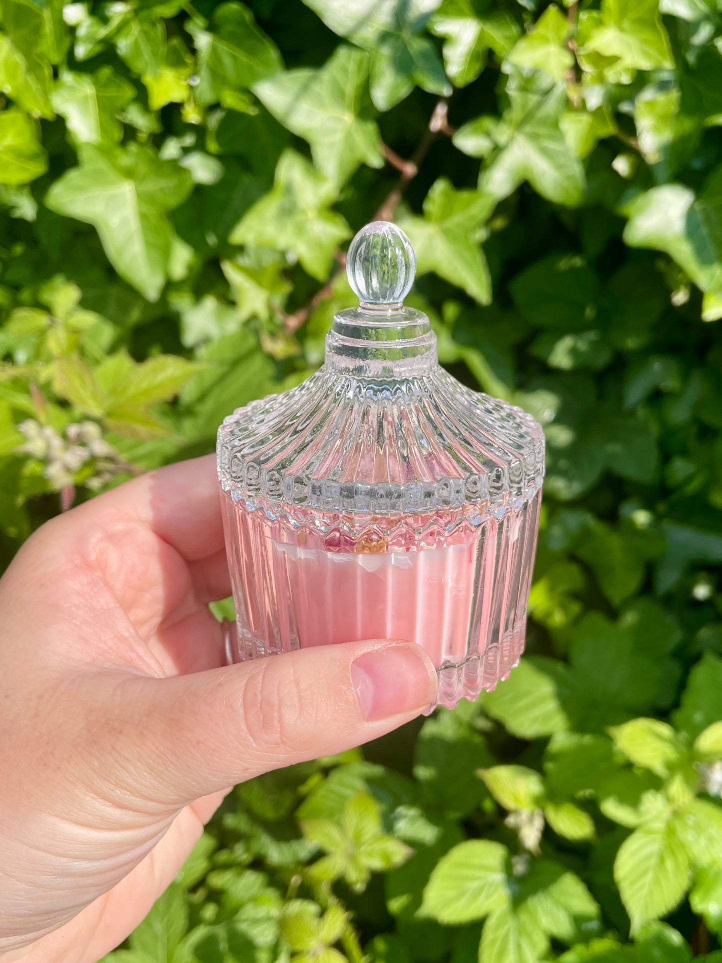 Bougie artisanale de Vénus - Édition limitée