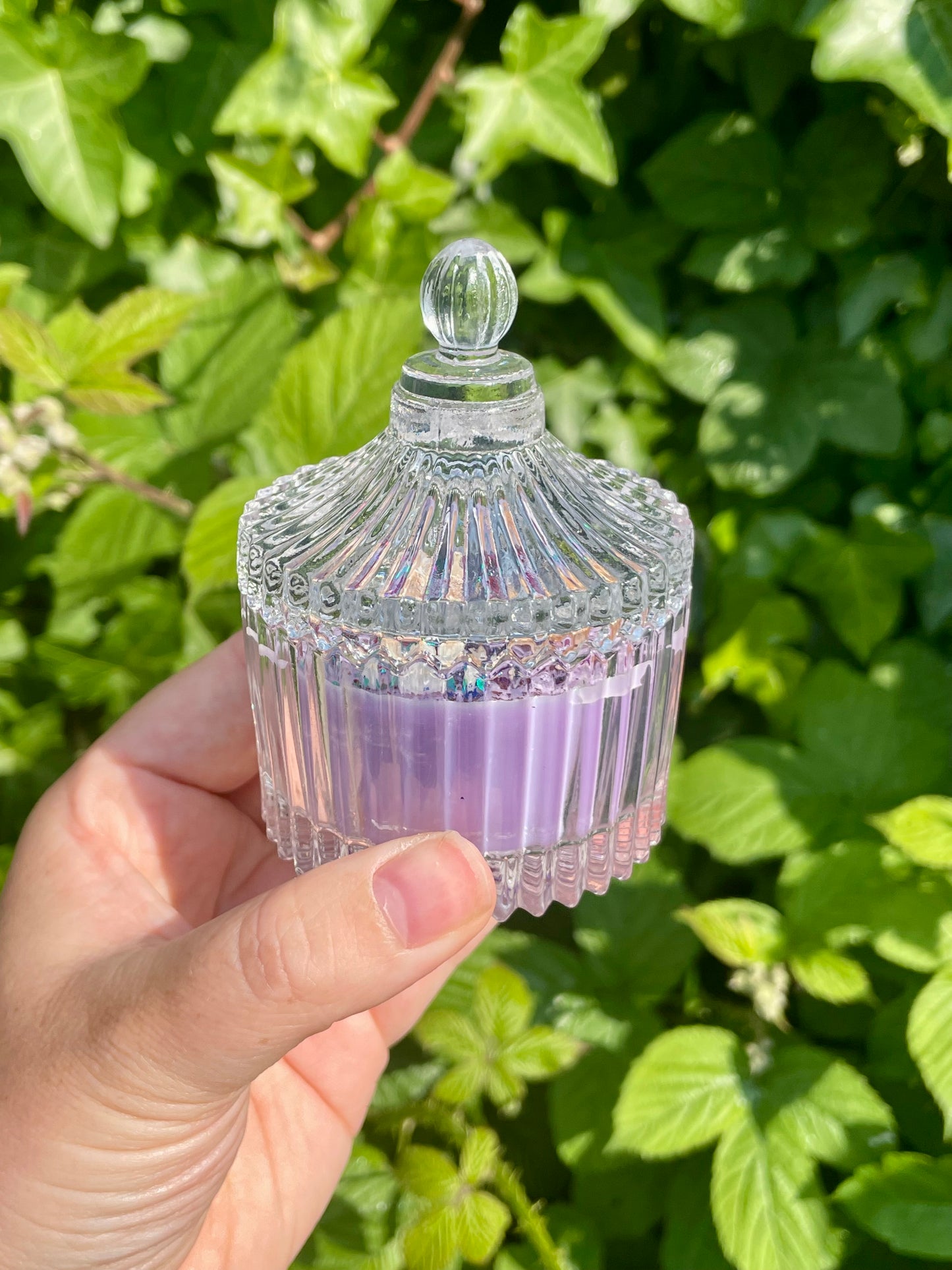 Bougie artisanale de Vénus - Édition limitée