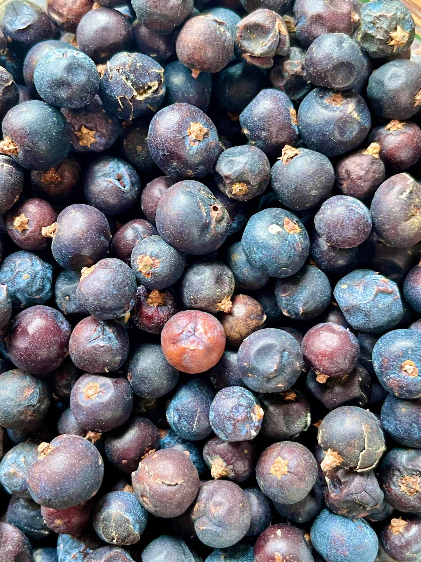 Juniper Berries