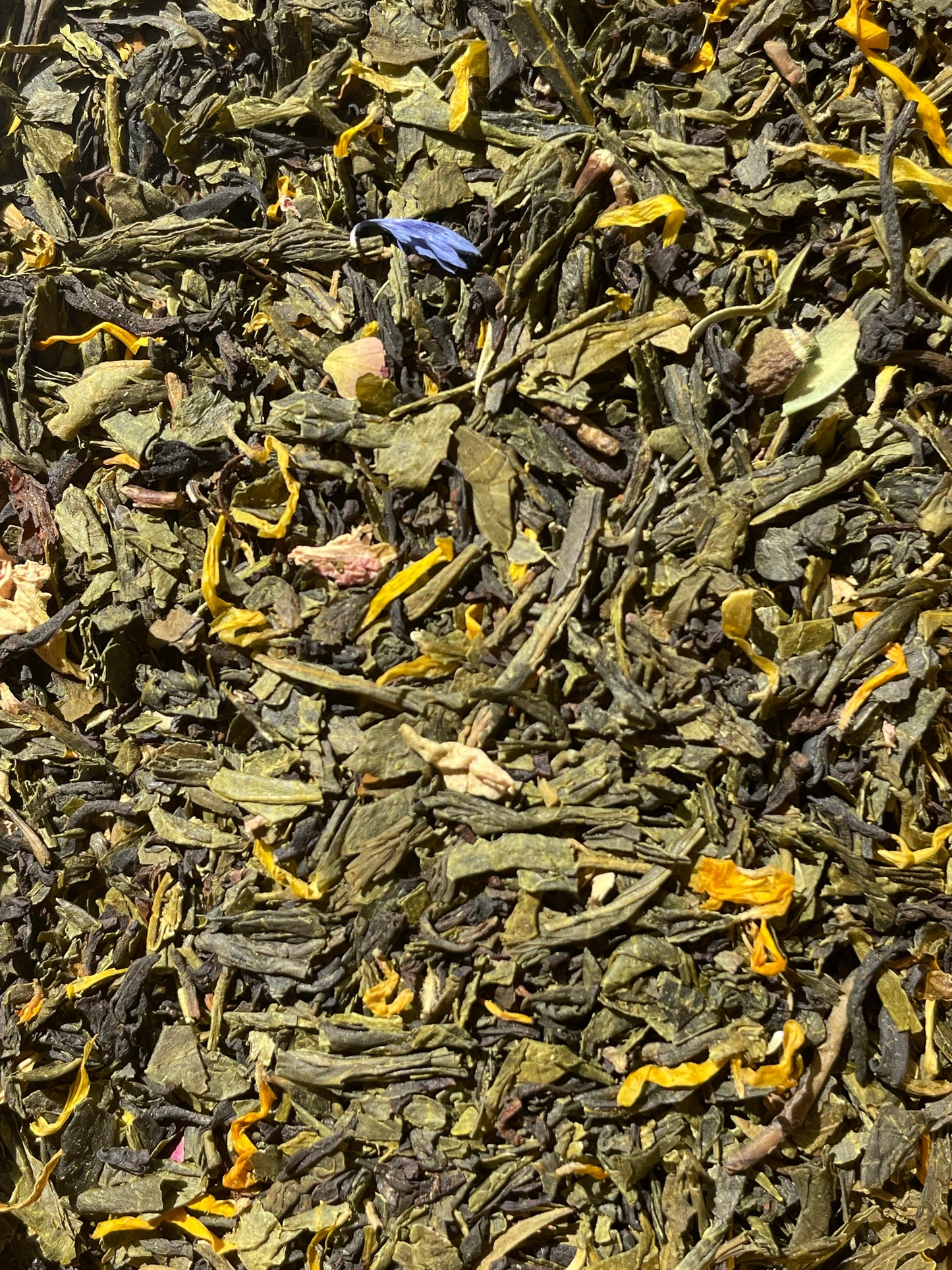 Thé Sweet Witchery Bio blend