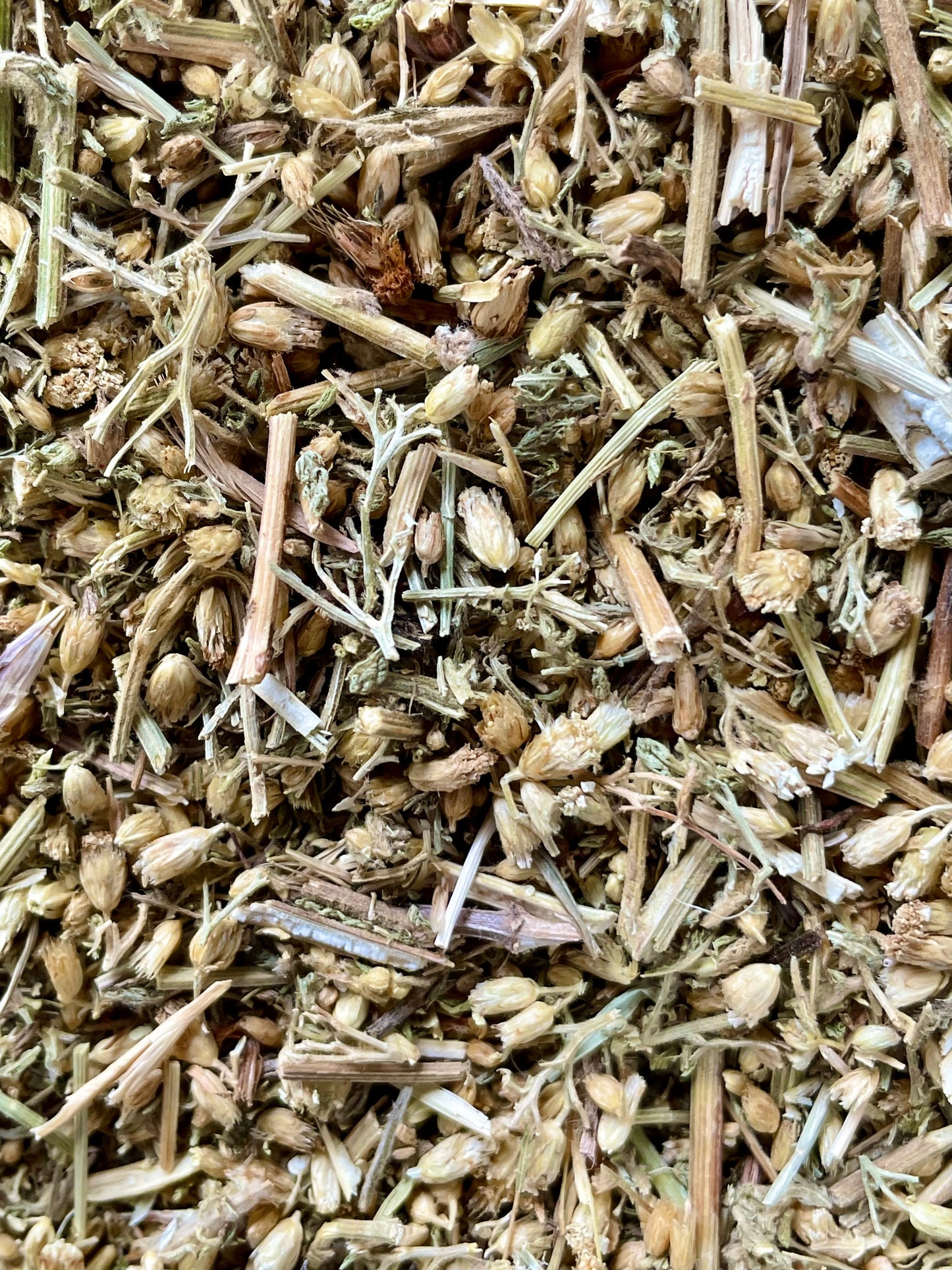 Yarrow