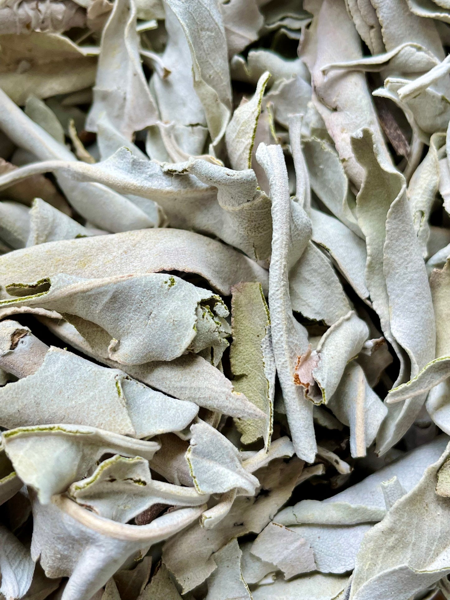White sage