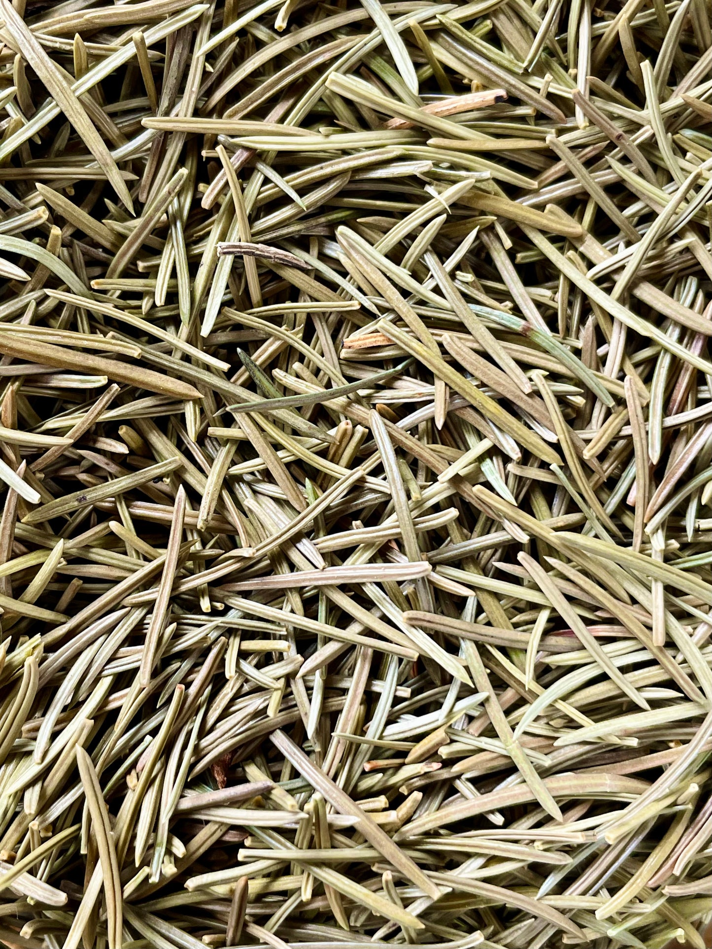 Spruce needles