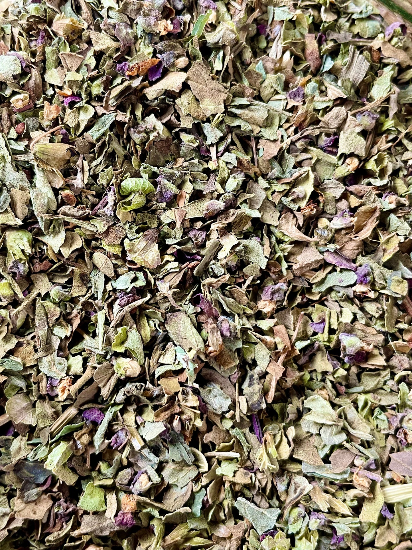Basil