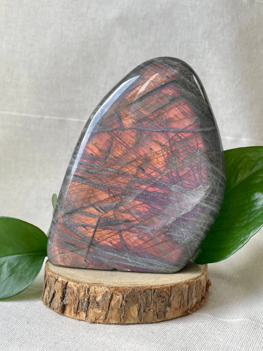 Forme libre de Labradorite AEC