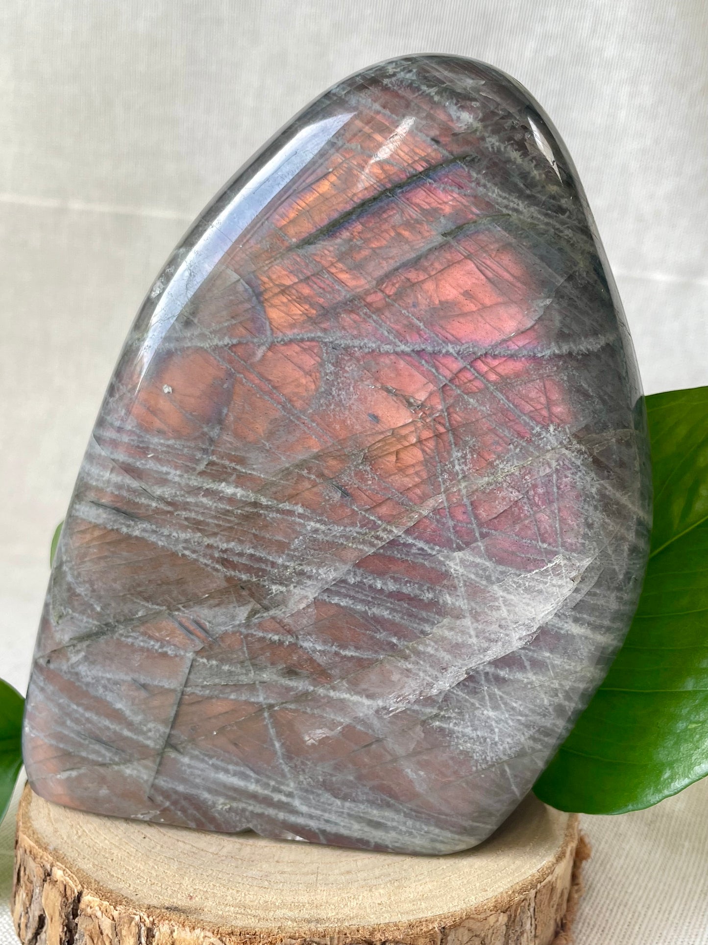 Forme libre de labradorite spectrolite
