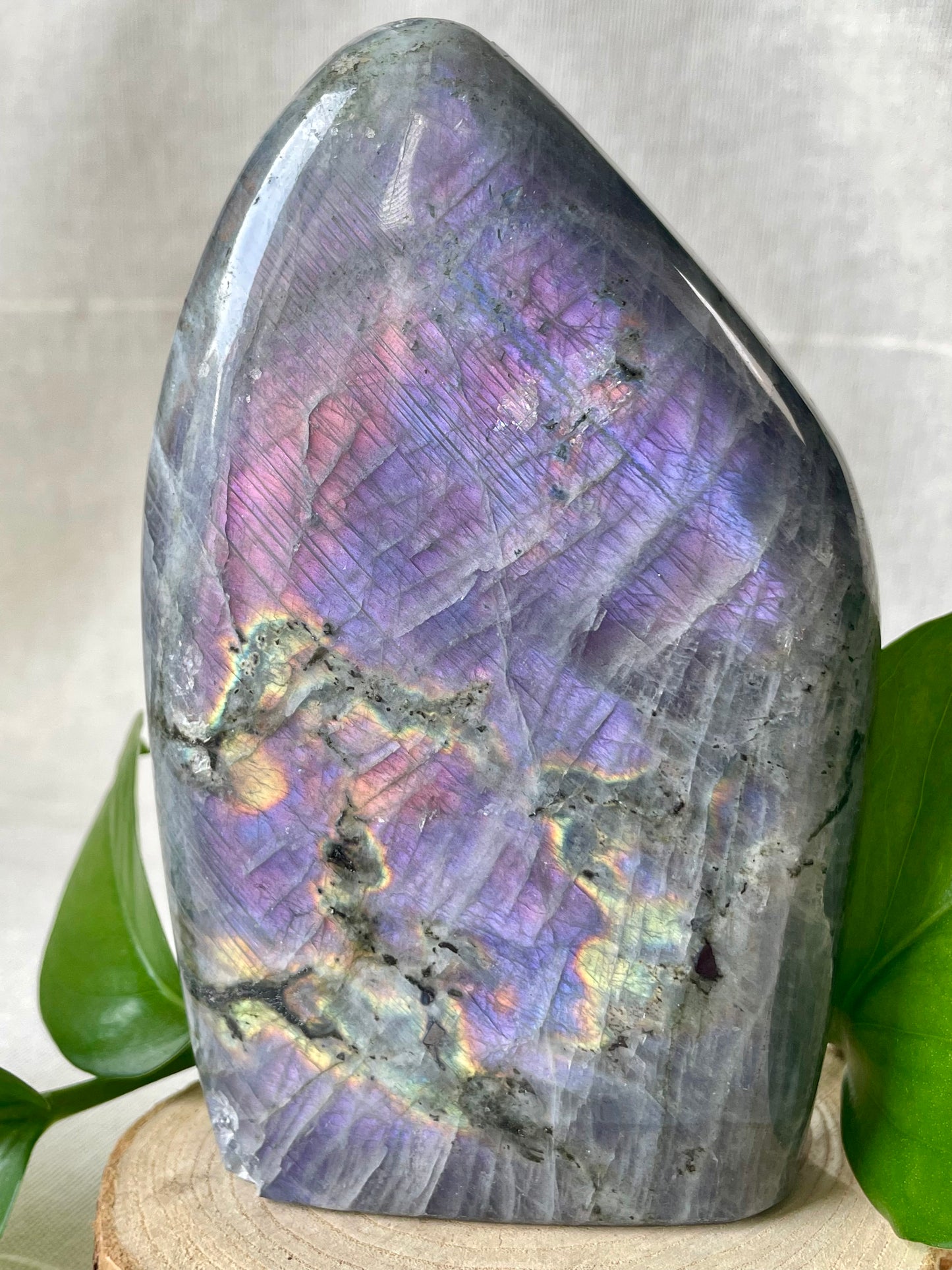 Forme libre de labradorite spectrolite 1