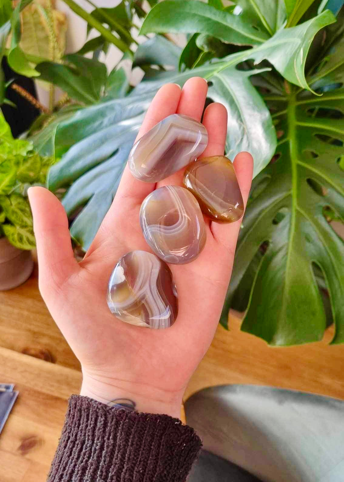Galet d'Agate rubanée Extra