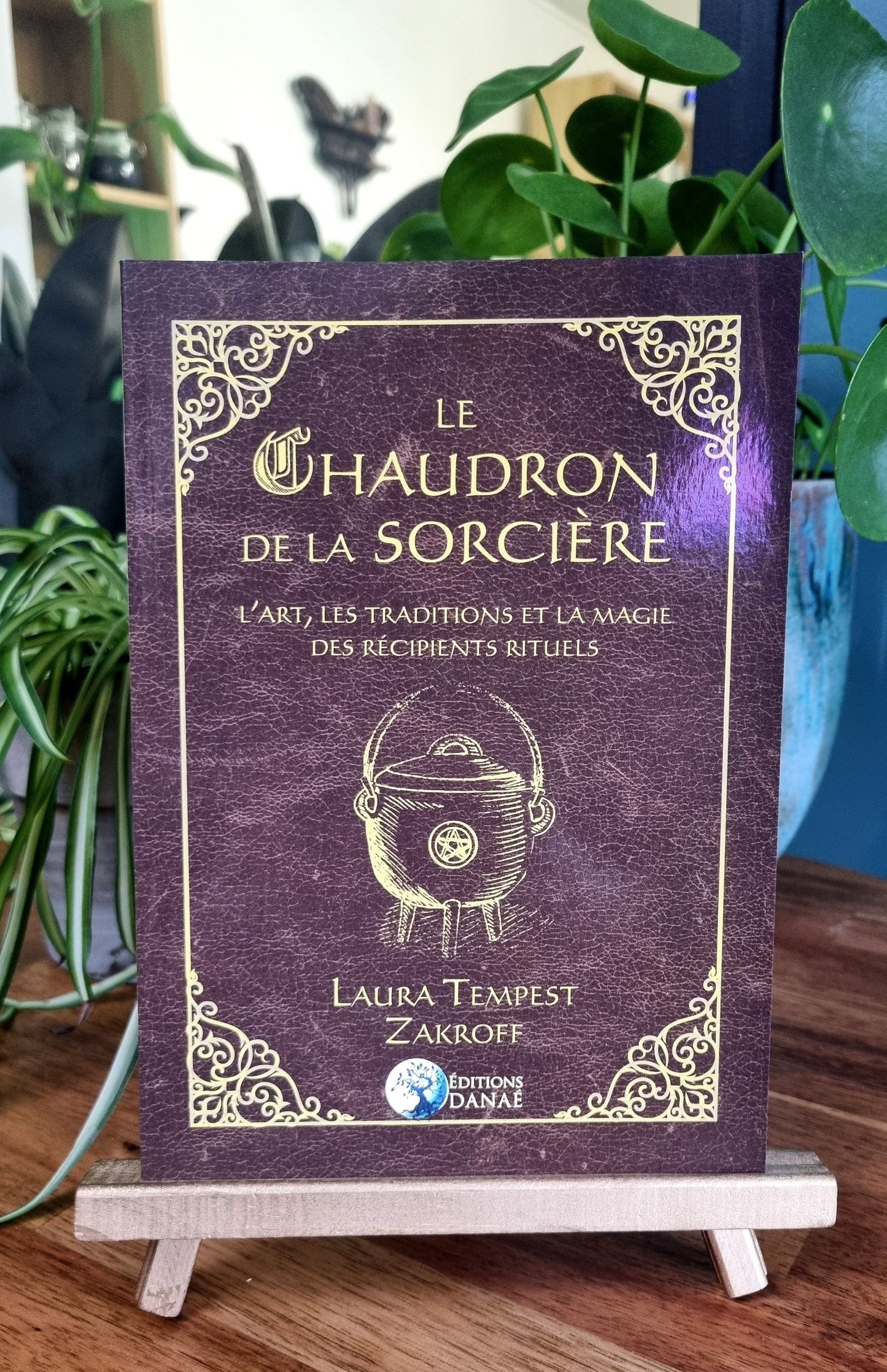 Le Chaudron de la Sorcière, L'art, les traditions et la magie des récipients rituels - Laura Tempest Zakroff