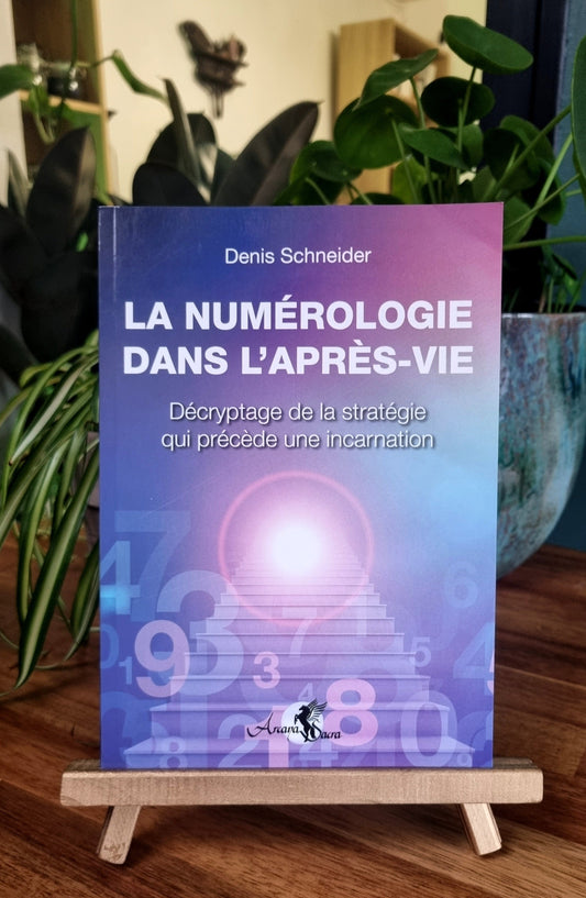 La Numérologie dans l'après-vie, Décryptage de la stratégie qui précède une incarnation - Denis Schneider
