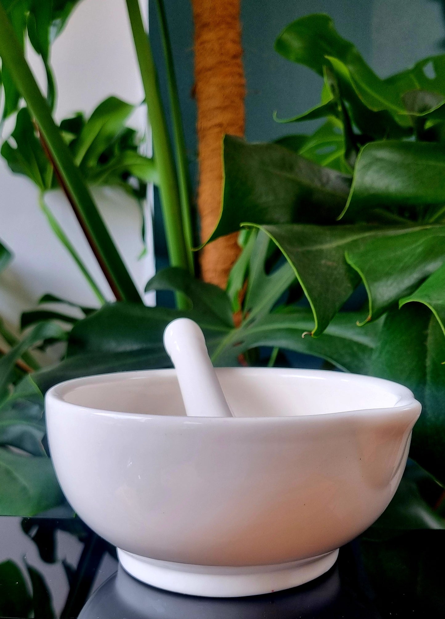 Mortier en porcelaine