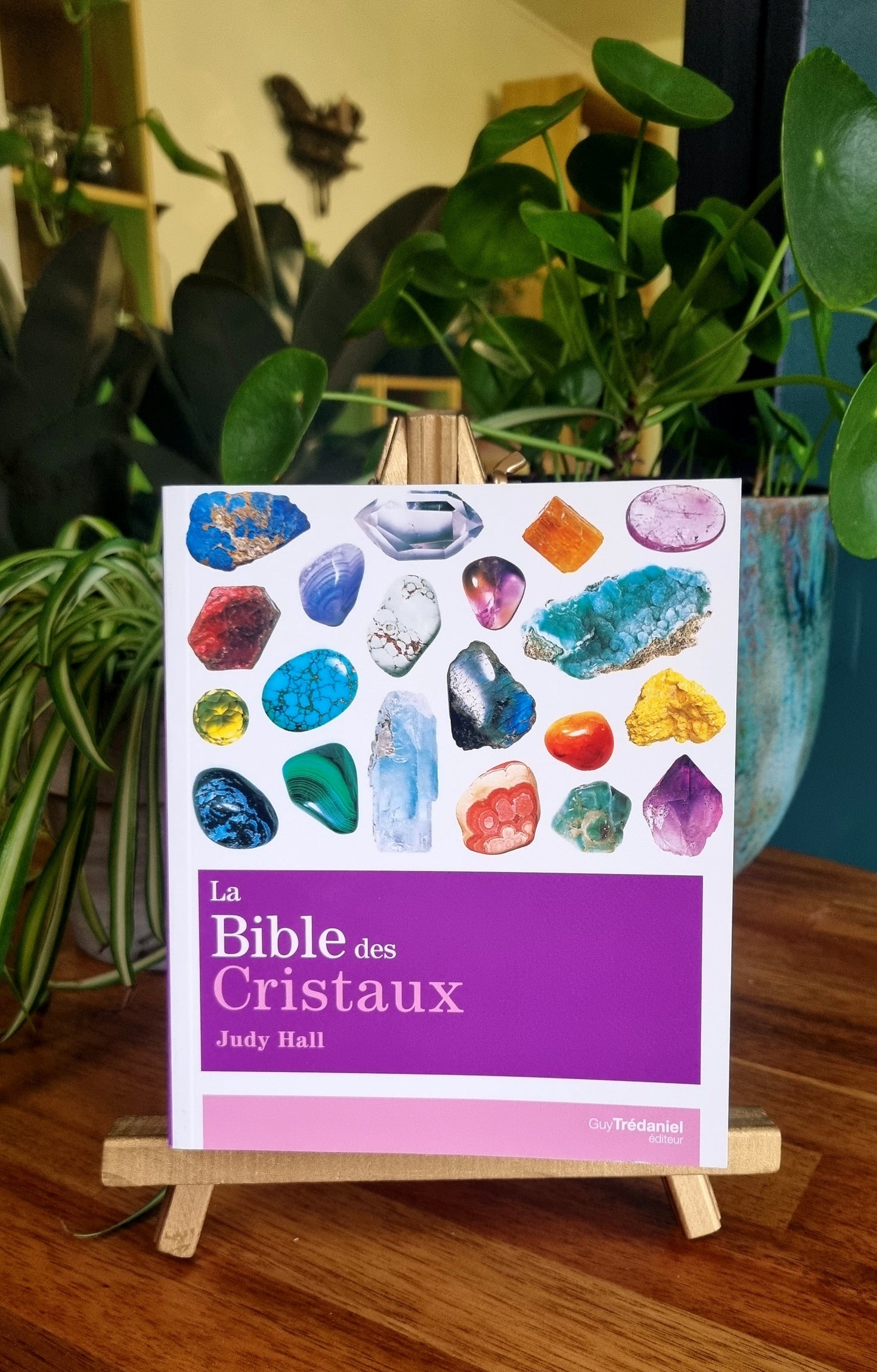 La Bible des Cristaux vol.1 - Judy Hall