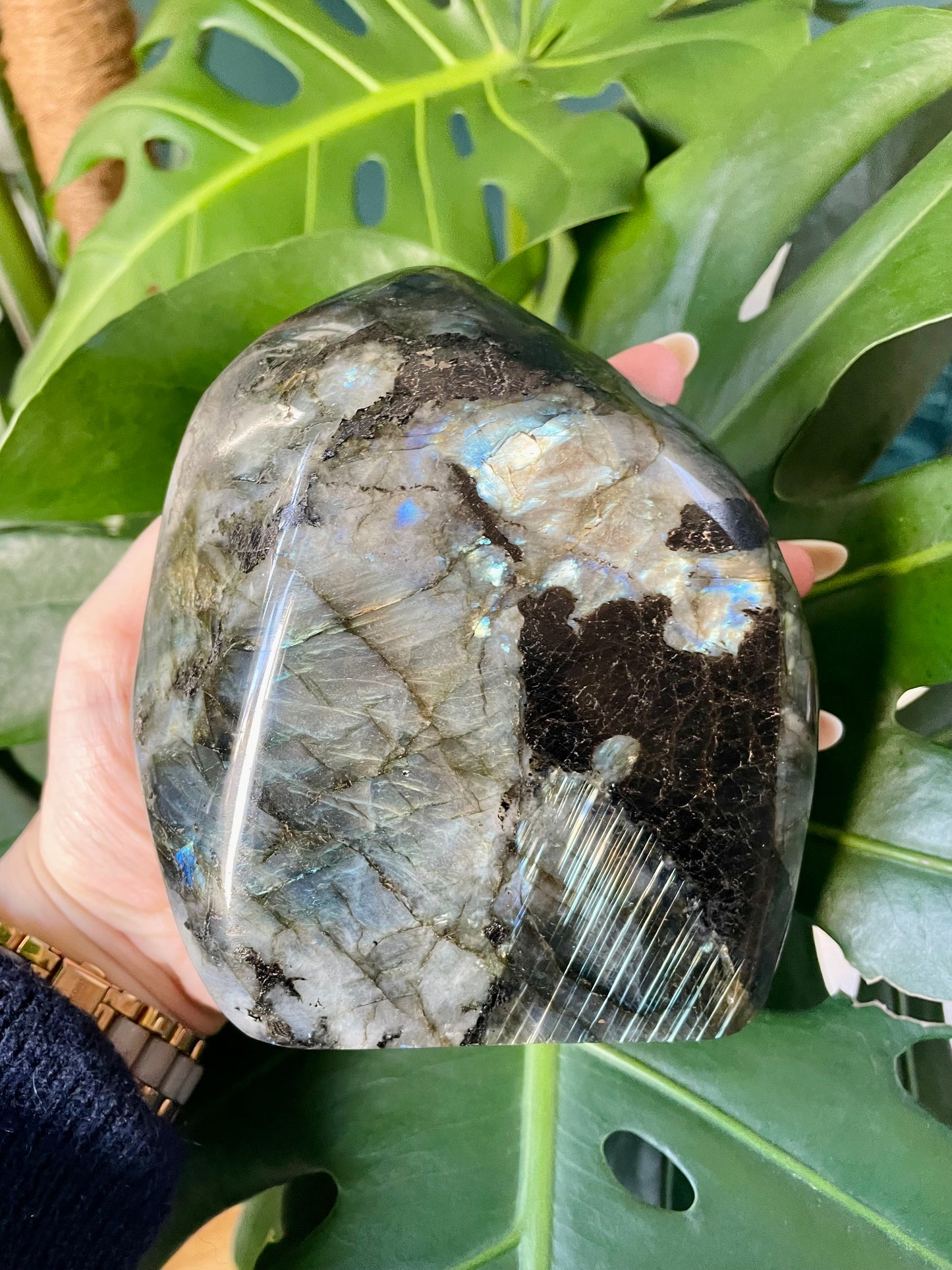 Forme libre de Labradorite Extra