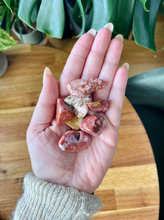 Extra pink orbicular jasper tumbled stone