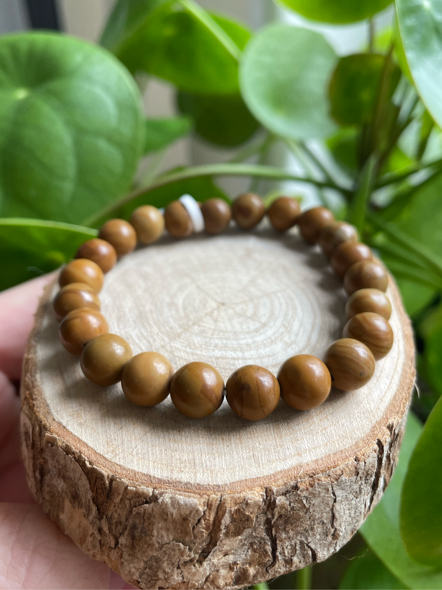 Fossilized Wood Bracelet