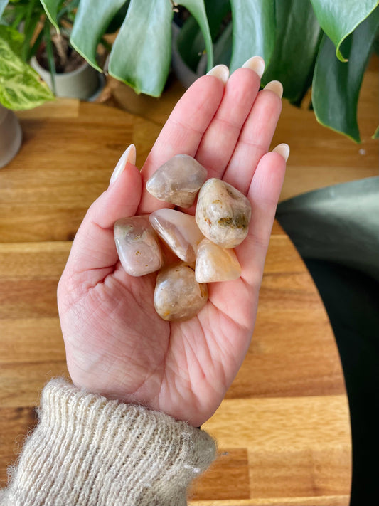 Extra Flower Agate Tumbled Stone