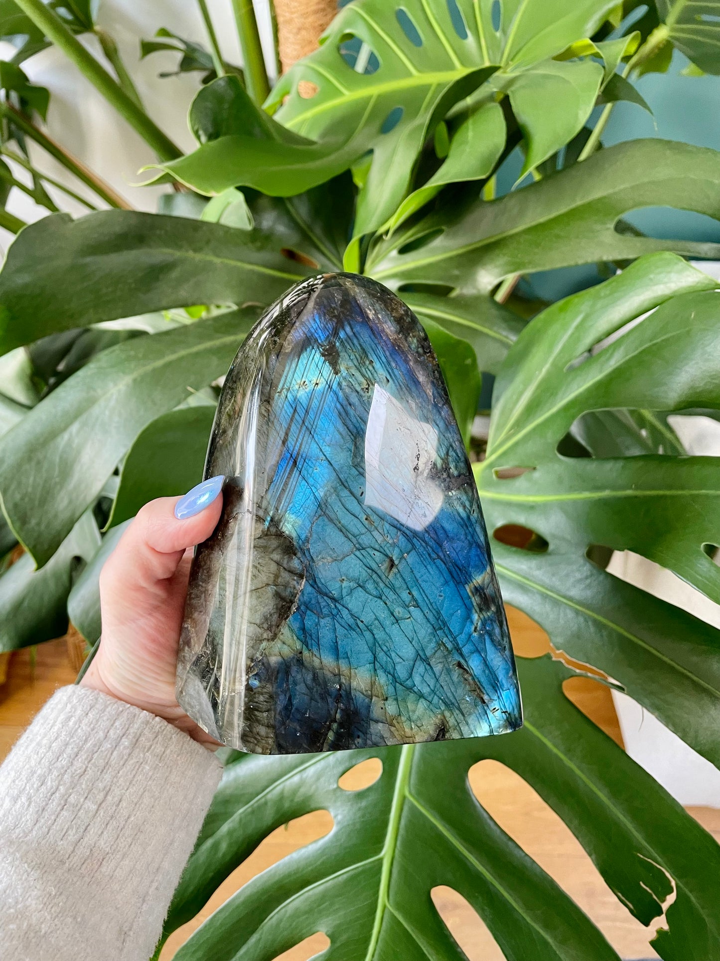 Forme libre de Labradorite Extra