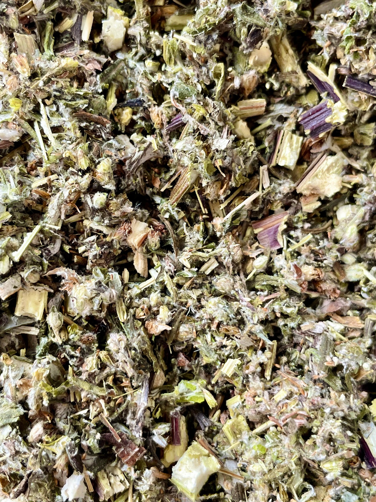 Mugwort