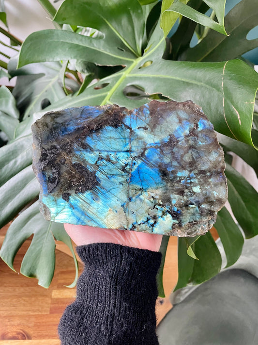 Forme libre de Labradorite brute 1 face polie