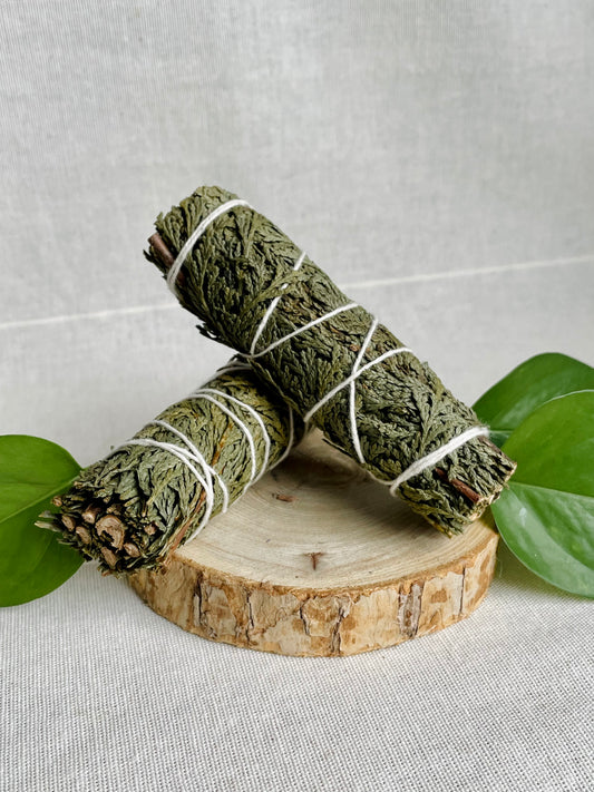 Bâton de fumigation cèdre naturel pour purification énergétique - Le Jardin Astral boutique ésotérique Lille
