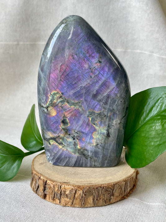 Forme libre de labradorite spectrolite 2
