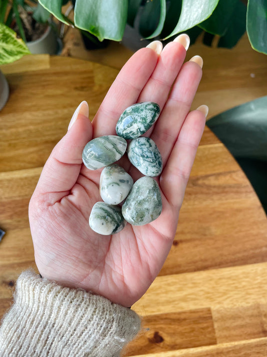 Extra Tree Agate Tumbled Stone