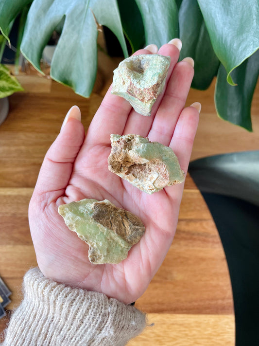 Compassion - Confiance - Métamorphose - Introspection