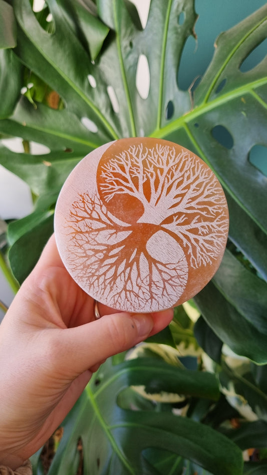 Plaque Sélénite Arbre de Vie Yin-Yang Rechargement Pierres orangée