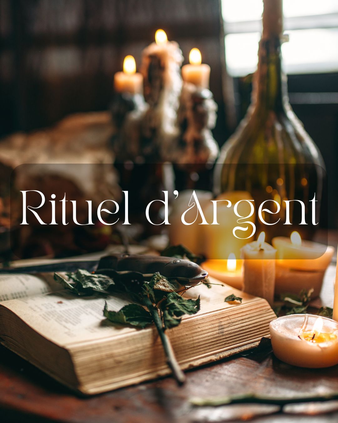 Rituel d'Argent Lille - Prospérité Financière | Le Jardin Astral