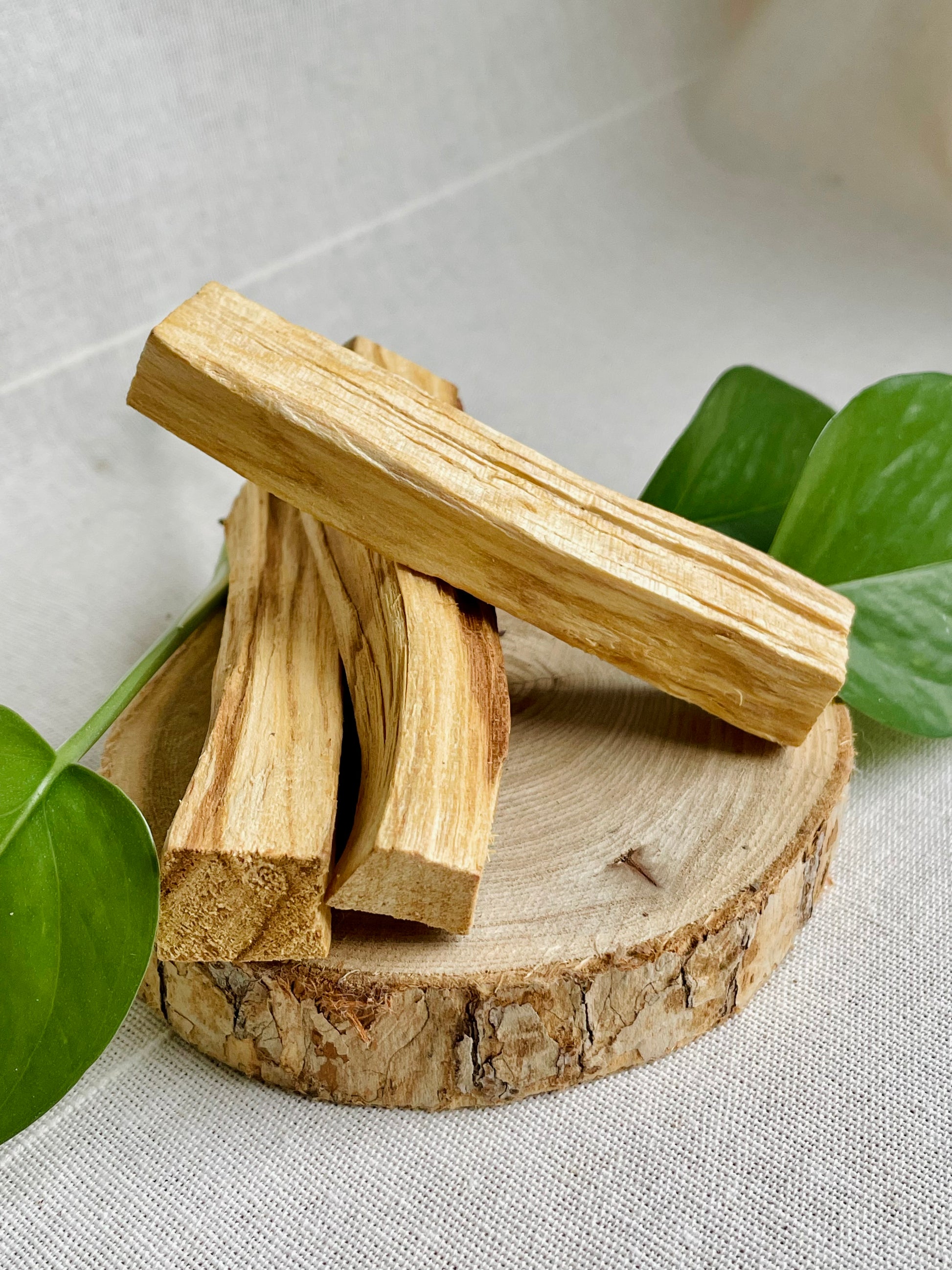 bâtons de Palo Santo naturel origine Pérou lot de 5 